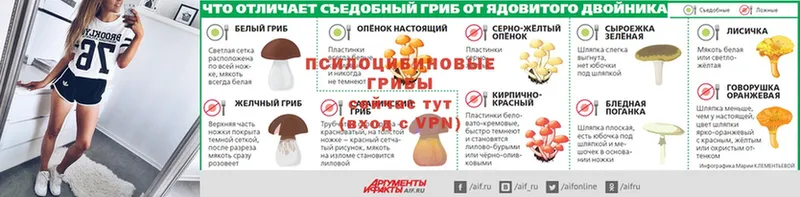 Галлюциногенные грибы Psilocybine cubensis  где можно купить наркотик  Вяземский 